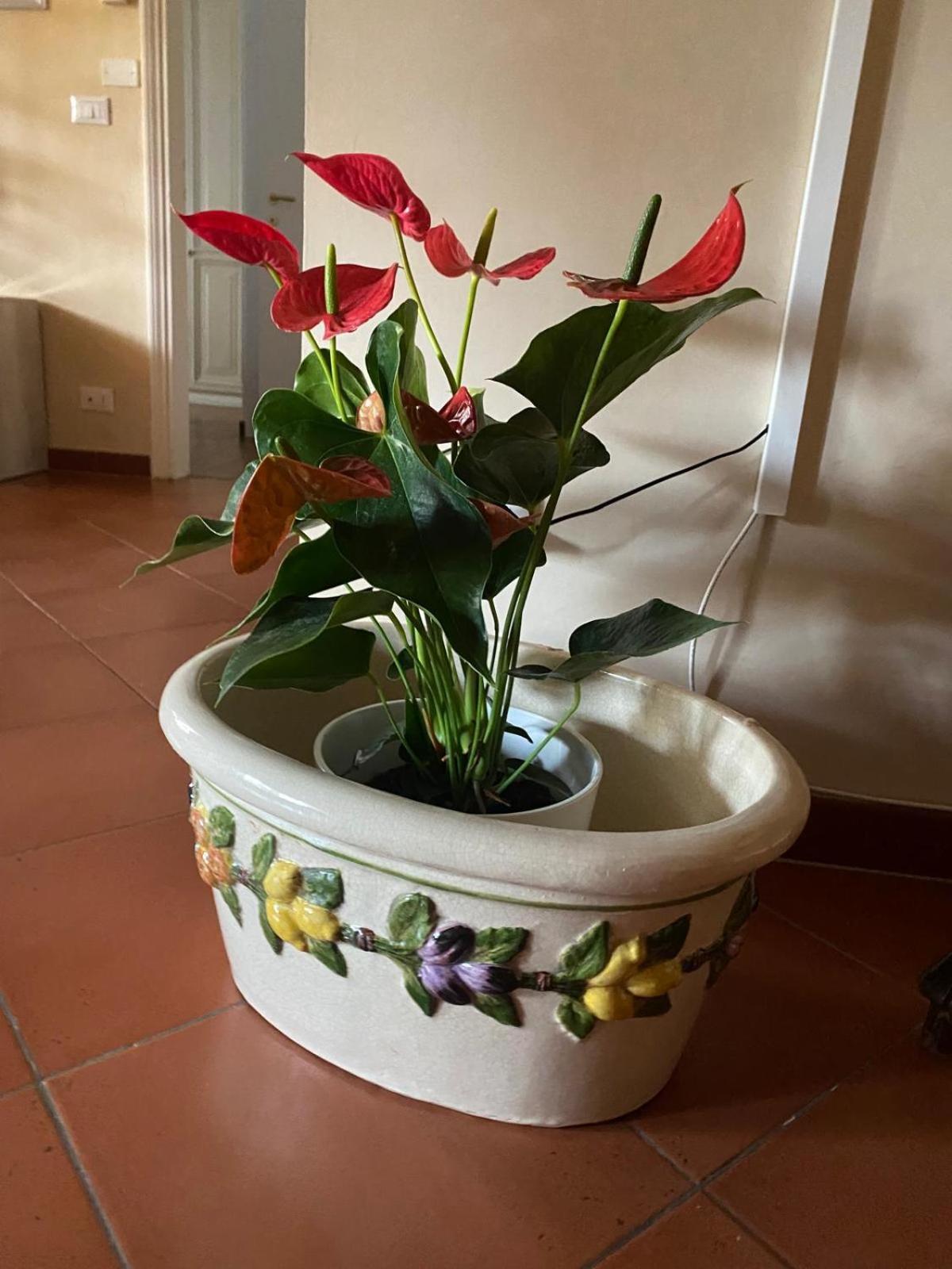 Appartamento Magnolia Mercatale Val Di Pesa المظهر الخارجي الصورة